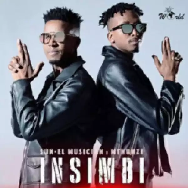 Sun-El Musician X Mthunzi - Insimbi (Extended Mix)